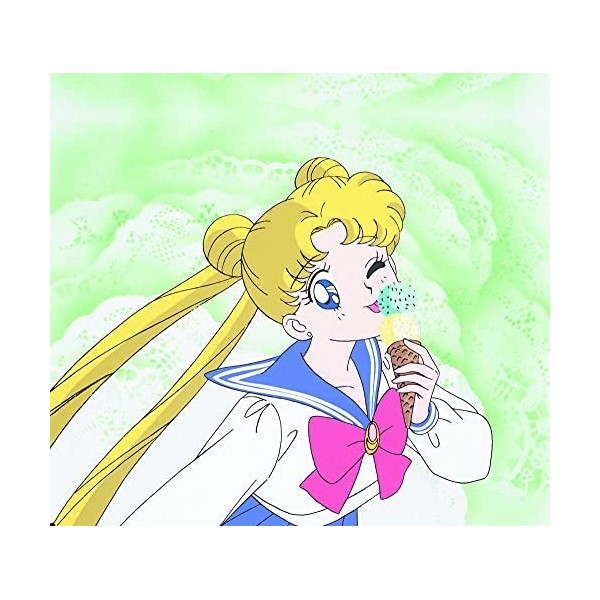 Sailor Moon-Intégrale Saison 1 [Édition Collector]