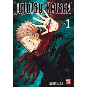 Jujutsu Kaisen – Band 1