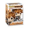 Pop ! Animation : Haikyu !! - Shoyo Hinata *Métallique* BAM Books A Million Exclusive 