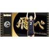 Cartoon Kingdom - Black Ticket Haikyu!! - Sugawara Col01-3760375862104
