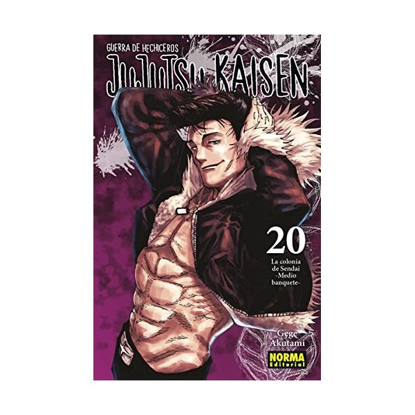JUJUTSU KAISEN 20