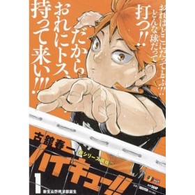 HAIKYU!! T01 - ÉDITION SMASH