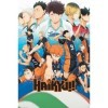 GB eye - HAIKYU!! Poster Maxi Key art saison 91,5 x 61 cm 