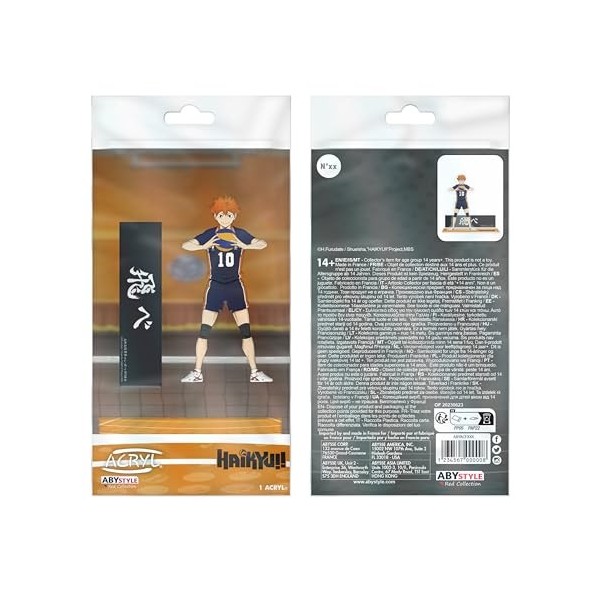 ABYSTYLE - Haikyu!! Acryl® Hinata