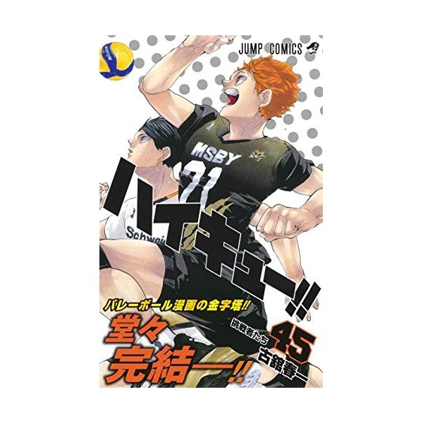 HAIKYU 45 MANGA VO JAPONAIS 