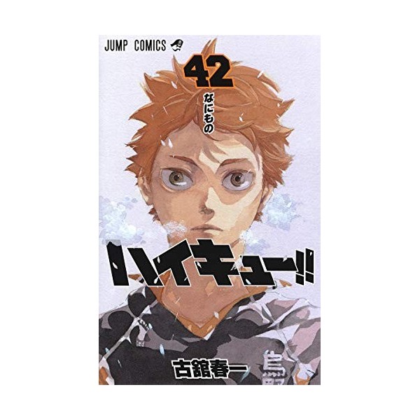 Haikyu!! 42 - Édition japonaise