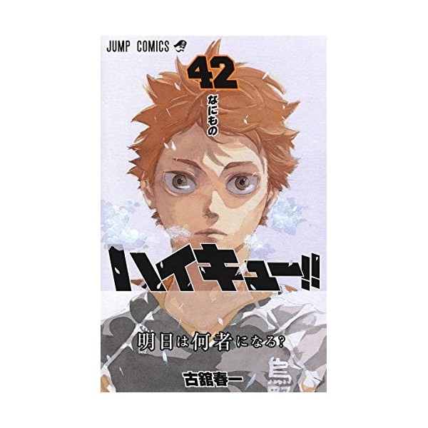 Haikyu!! 42 - Édition japonaise