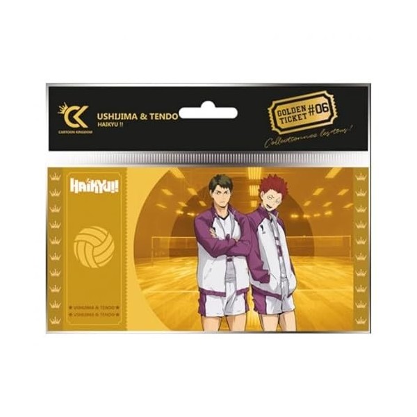 Cartoon Kingdom - Golden Ticket Haikyu!! - Col01 Ushijima & Tendo - 3760375862197