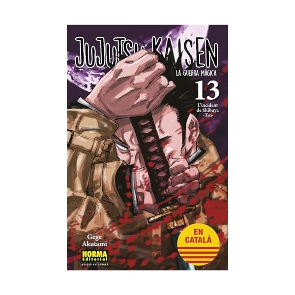 JUJUTSU KAISEN 13 CATALA
