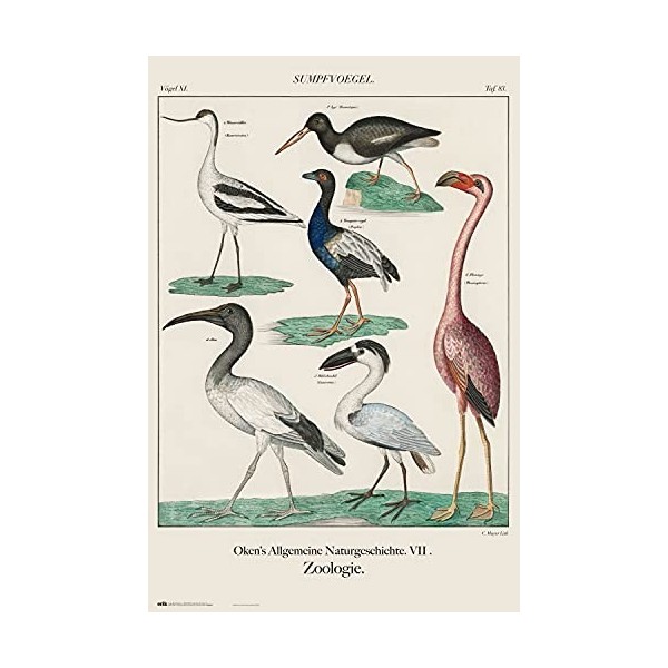 Grupo Erik - Poster The Naruto Whirlpools, Hiroshige - Deco Maison, Decoration Murale, Affiche Décorative