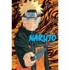 Naruto 3-in-1 Edition , Vol. 14