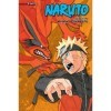 Naruto 3-in-1 Edition , Vol. 17