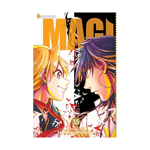 Magi, Vol. 35: The Labyrinth of Magic