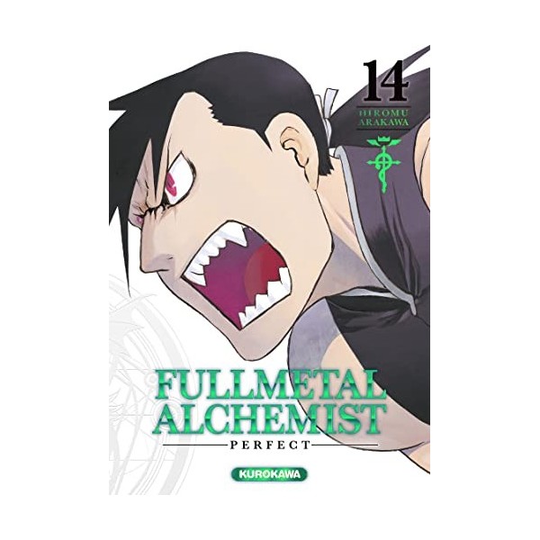 Fullmetal Alchemist Perfect T14