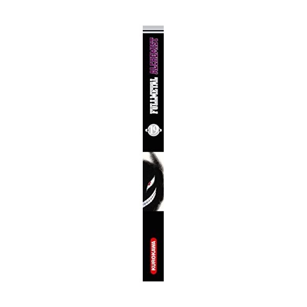 Fullmetal Alchemist - tome 19 19 