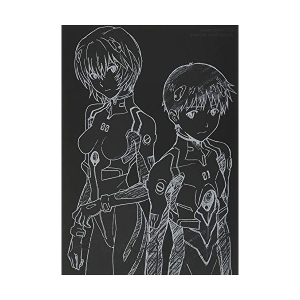 REBUILD OF EVANGELION 1.0 YOU ARE NOT ALONE FULL RECORD COLLECTION ARTBOOK VO JAPONAIS 