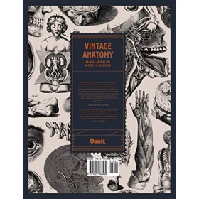 Vintage Anatomy: An Image Archive for Artists and Designers