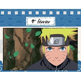 Une année 100% Naruto Shippuden