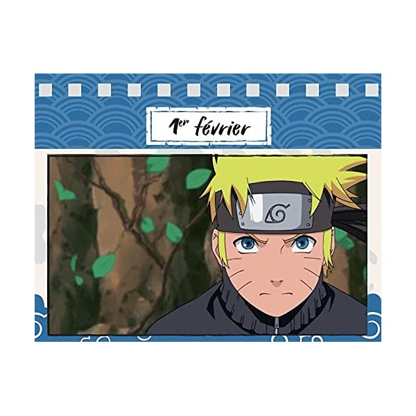 Une année 100% Naruto Shippuden