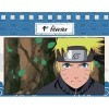 Une année 100% Naruto Shippuden