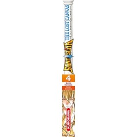 Saint Seiya - Les Chevaliers du Zodiaque - The Lost Canvas - La Légende dHadès - tome 04 04 