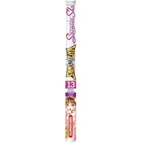 Saint Seiya - Les Chevaliers du Zodiaque - Saintia Shô - tome 13 13 