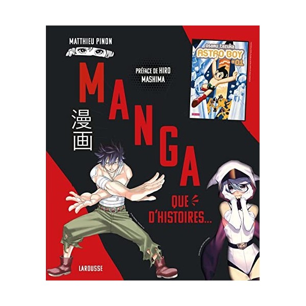 Manga, que dhistoires !