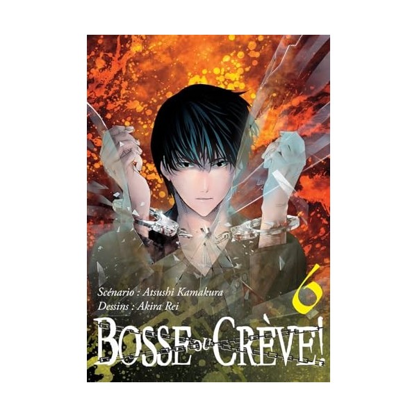 Bosse ou crève ! T06