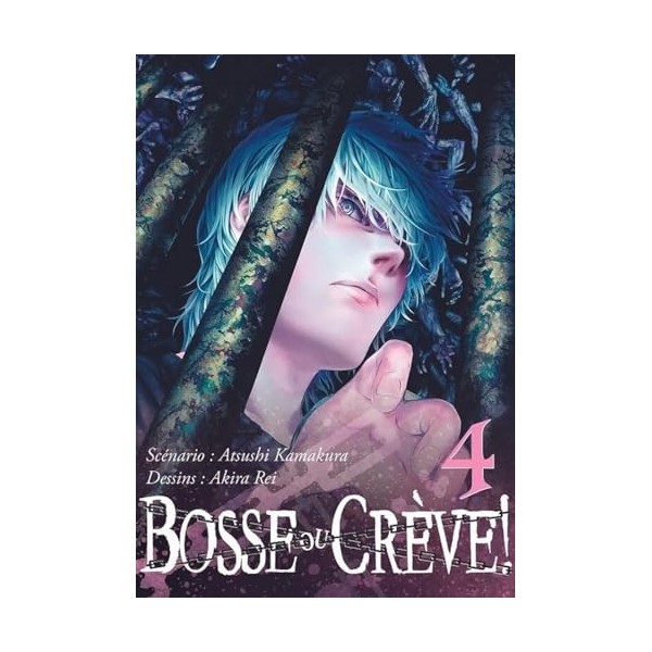 Bosse ou crève ! T04