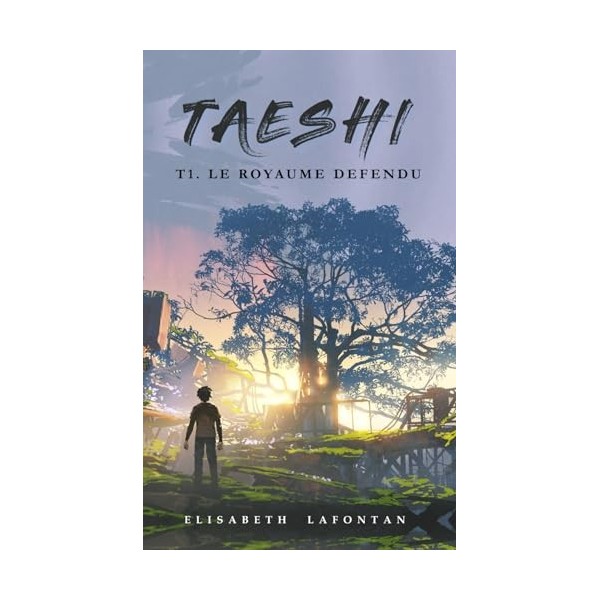 Taeshi : Le royaume défendu