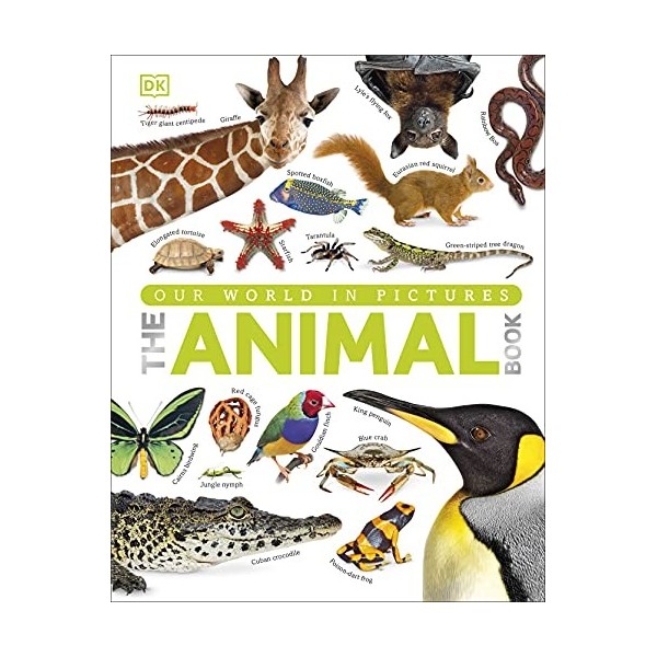 The Our World in Pictures The Animal Book: A Visual Encyclopedia of Life on Earth DK Our World in Pictures 
