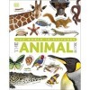 The Our World in Pictures The Animal Book: A Visual Encyclopedia of Life on Earth DK Our World in Pictures 