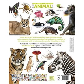 The Our World in Pictures The Animal Book: A Visual Encyclopedia of Life on Earth DK Our World in Pictures 