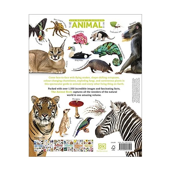 The Our World in Pictures The Animal Book: A Visual Encyclopedia of Life on Earth DK Our World in Pictures 