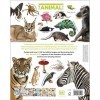 The Our World in Pictures The Animal Book: A Visual Encyclopedia of Life on Earth DK Our World in Pictures 