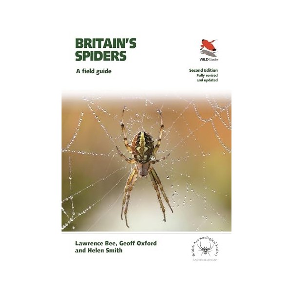 Britains Spiders: A Field Guide