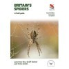 Britains Spiders: A Field Guide