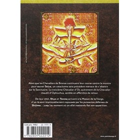 SAINT SEIYA NEXT DIMENSION T08