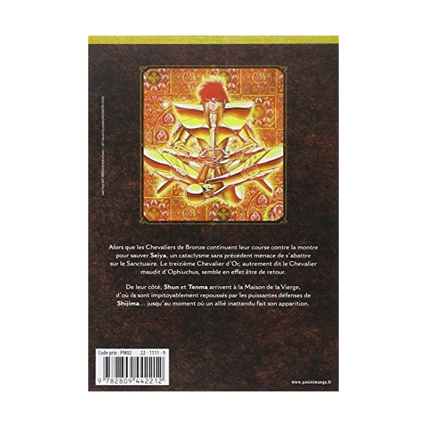 SAINT SEIYA NEXT DIMENSION T08