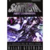 I cavalieri dello zodiaco. Saint Seiya. Next dimension Vol. 1 