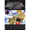 I cavalieri dello zodiaco. Saint Seiya. Next dimension. Black edition Vol. 11 