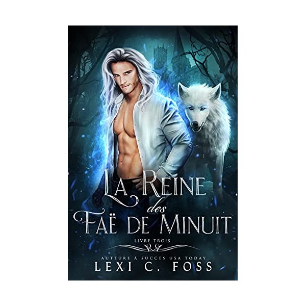 La Reine des Faë de Minuit: Livre Trois