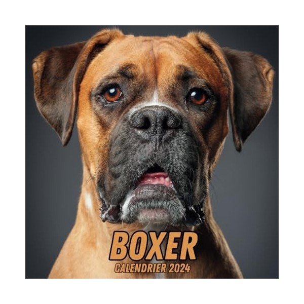 Boxer Calendrier 2024: Organisateur de 14 mois , Novembre 2023 à décembre 2024, pour la maison et le bureau pour les amoureux