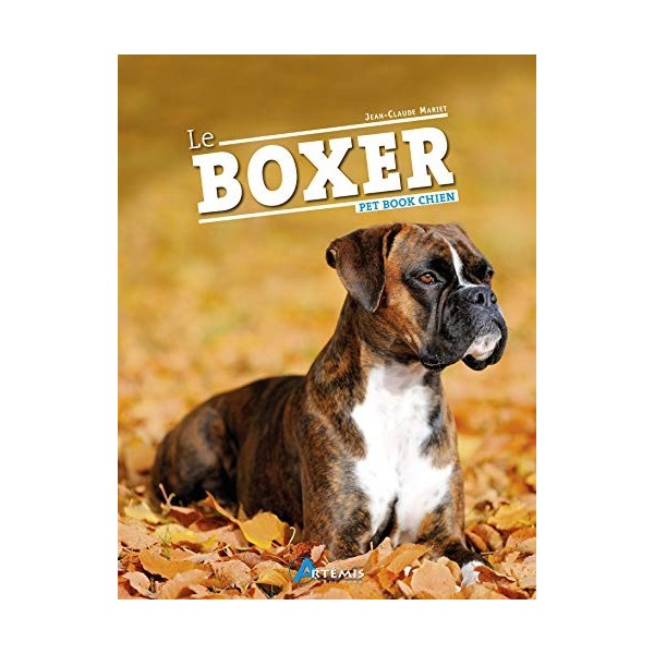 Le boxer