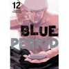 Blue Period 12