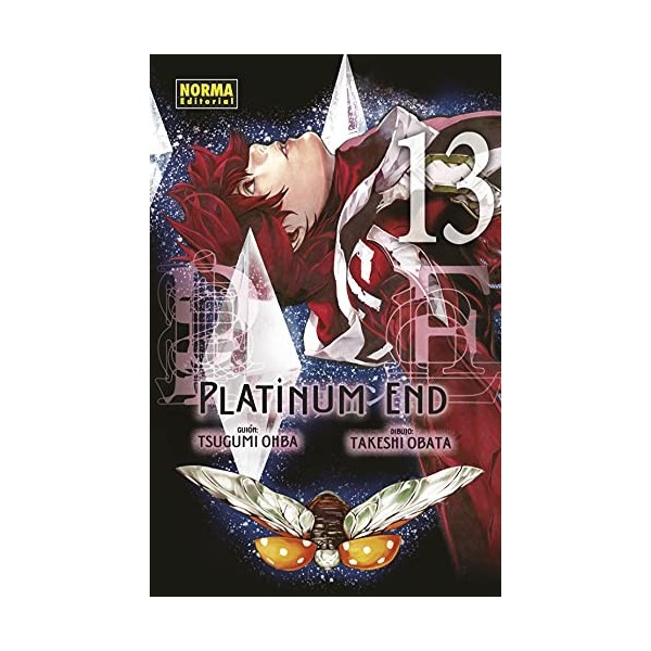 PLATINUM END 13