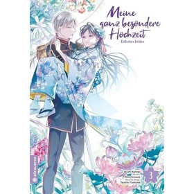 Meine ganz besondere Hochzeit Collectors Edition 03: collectors Edtion mit Mini-Artbook/ 48 Seiten mit Bonusmanga Illustratio