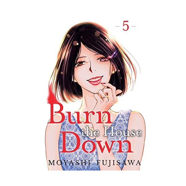 Burn the House Down Vol. 5 English Edition 