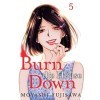 Burn the House Down Vol. 5 English Edition 