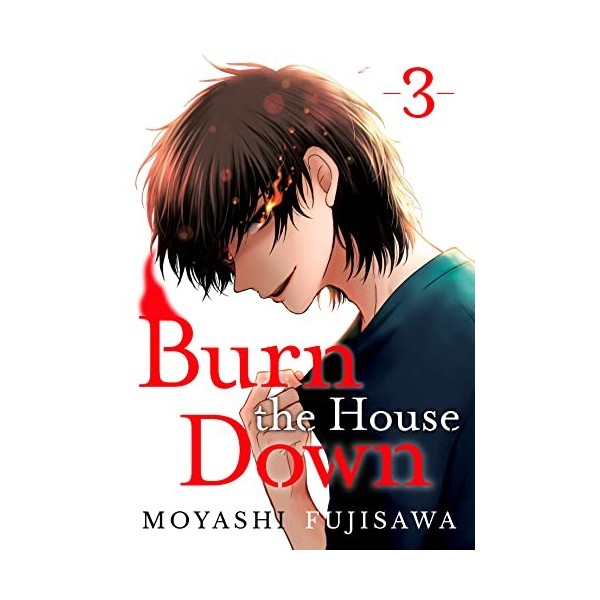 Burn the House Down Vol. 3 English Edition 